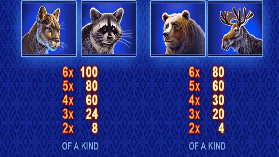 Buffalo Blitz Megaways Feature Symbols En - -