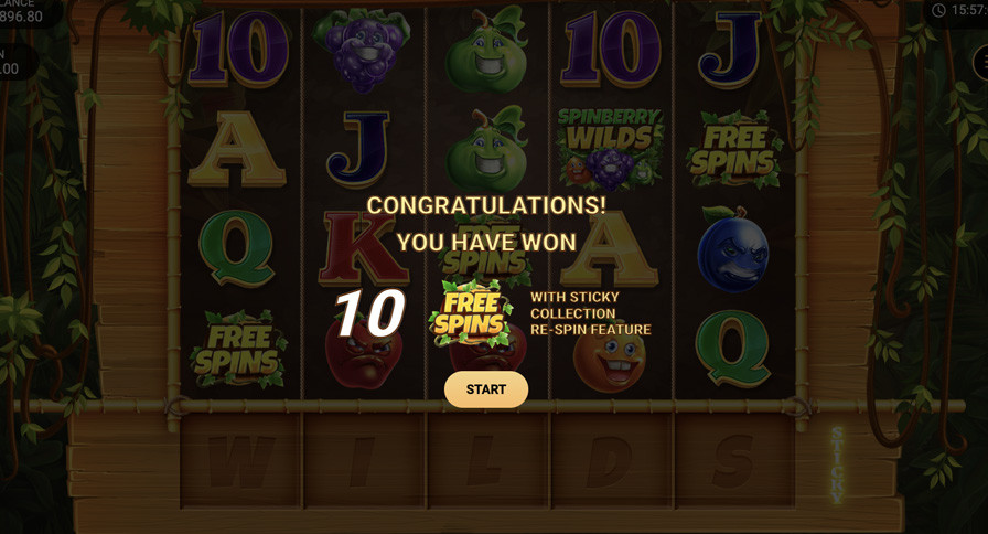 Spinberry Wilds Bonus - -