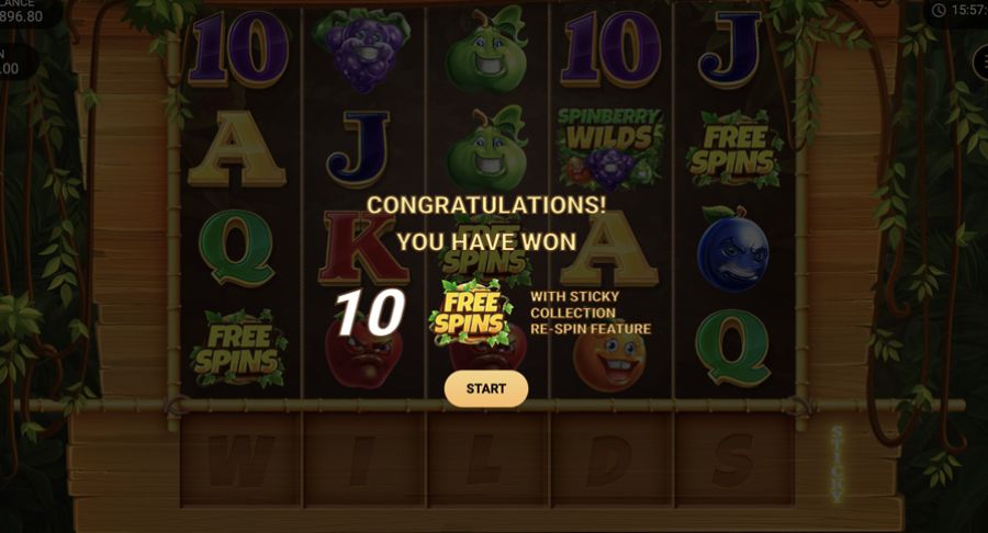 Spinberry Wilds Bonus - -