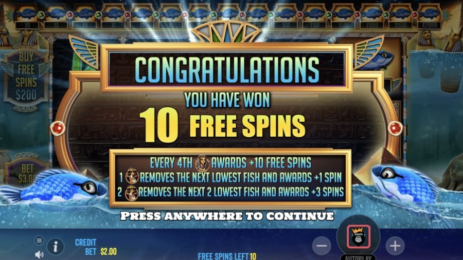 Fish Eye Bonus Eng - -