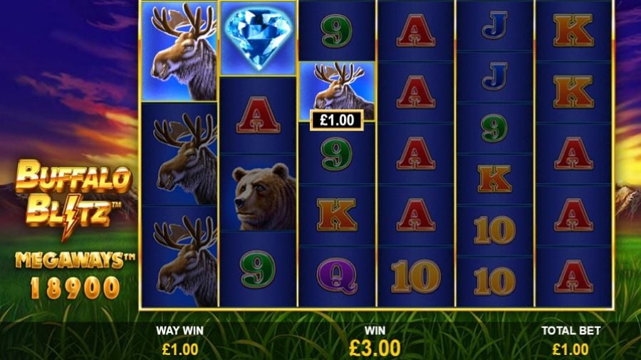 Buffalo Blitz Megaways Bonus - -