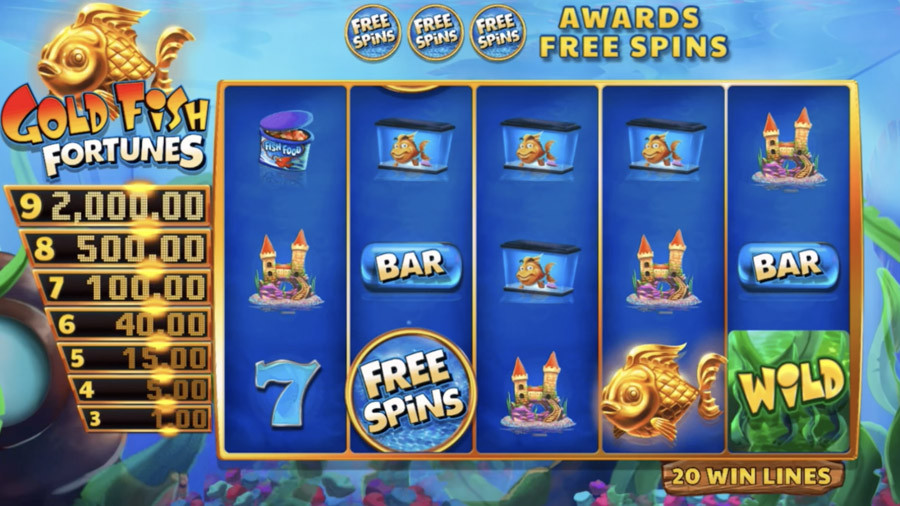 Goldfish Fortunes - -