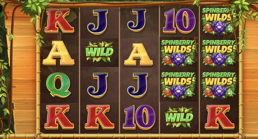 Spinberry Wilds Slot - -