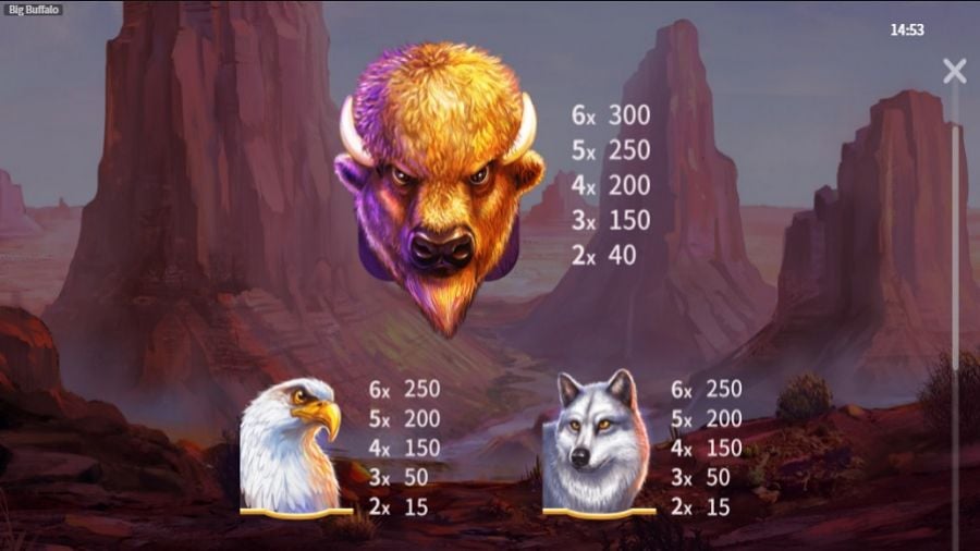 Big Buffalo Feature Symbols En - -