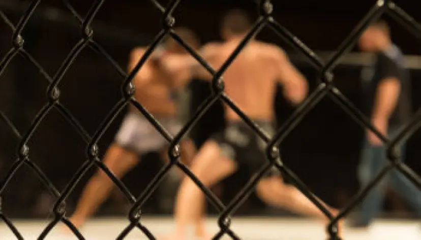 Apuestas UFC | Los mejores luchadores de la historia | UFC
