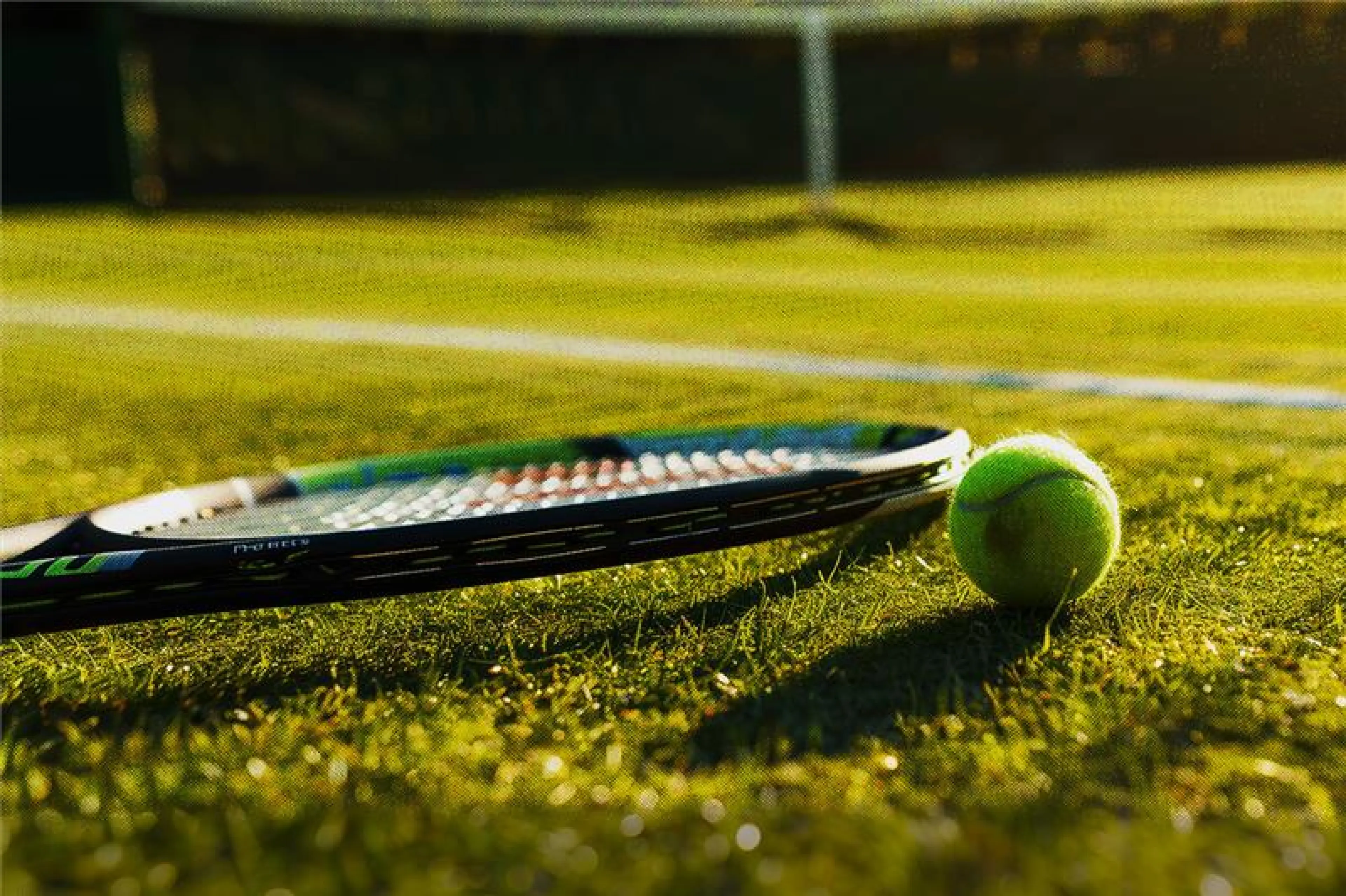 Apuestas al Ganador de Wimbledon – Favoritos y cuotas en bwin