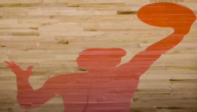 ¿Quién es la mejor jugadora de baloncesto? | basket | bwin
