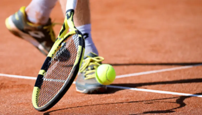 Partido de tenis profesional | Ranking mundial de ATP y WTA | bwin