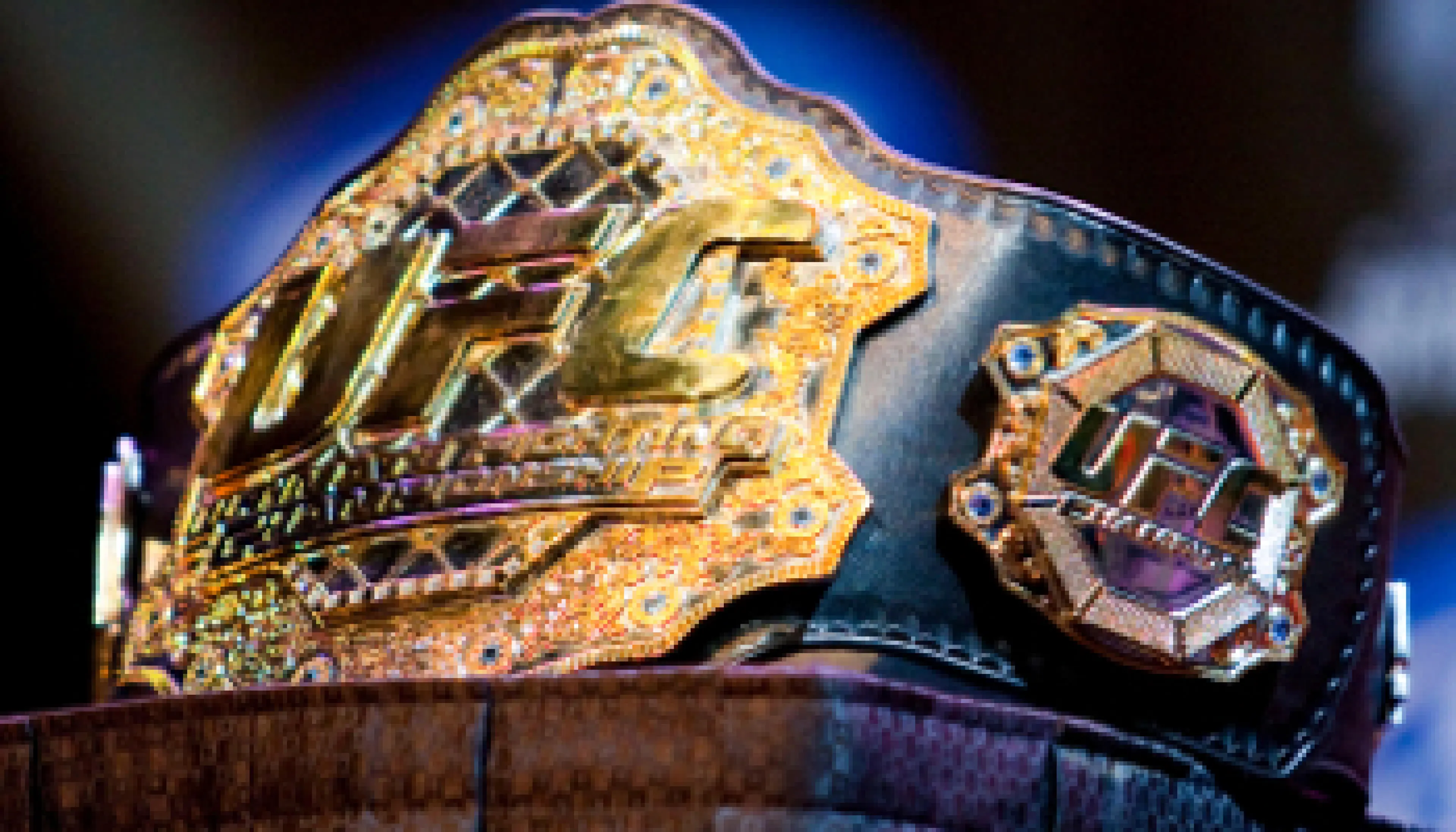 Todos los campaones de la UFC | Deportes de combate | bwin