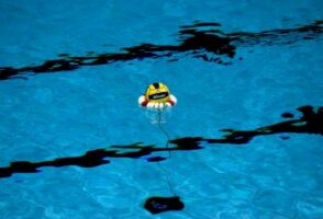 España tiene posibilidades de ganar el título: ¿Quién será el campeón del Mundial de Waterpolo 2022?