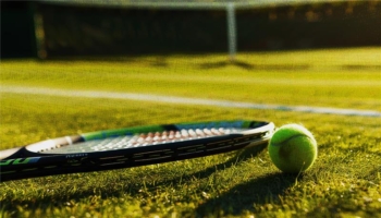 Pronóstico ganador 2024 | Wimbledon | Tenis